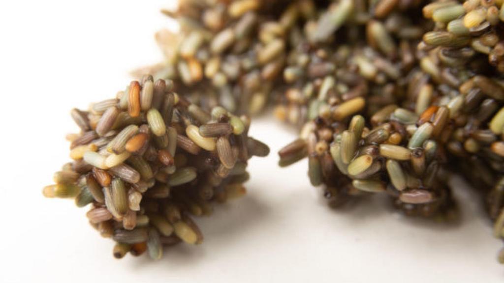 El cereal milagroso que regula el tránsito intestinal y es antiinflamatorio.