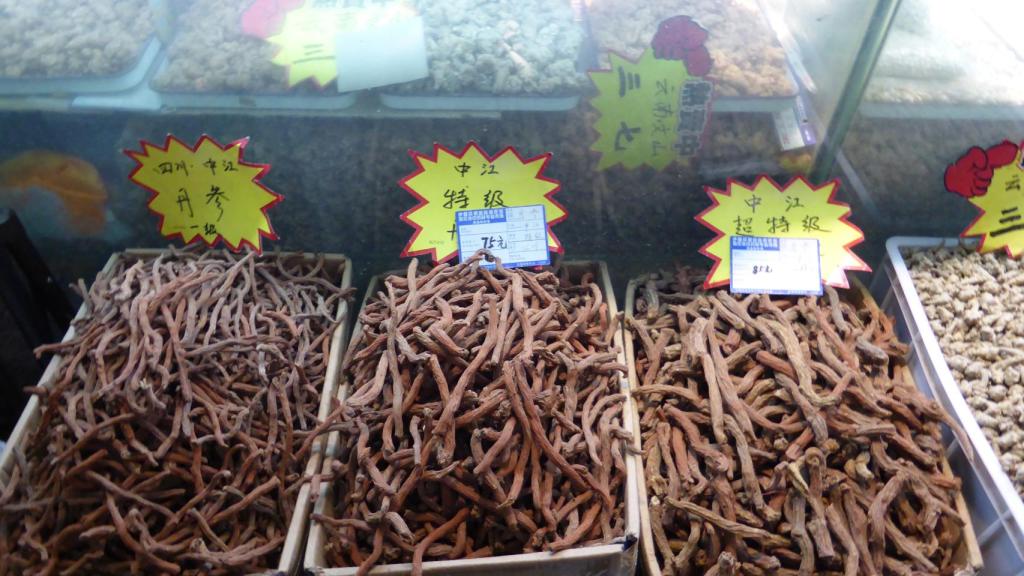 Raíces de salvia roja.