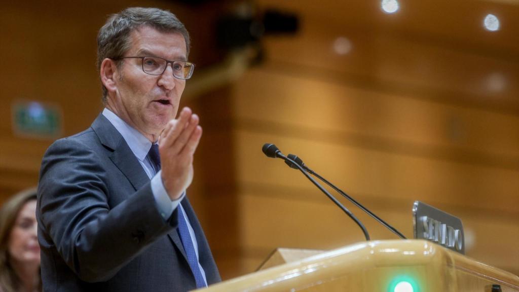 El presidente del PP, Alberto Núñez Feijóo, este martes durante su intervención ante el Pleno del Congreso, celebrado en el Senado.
