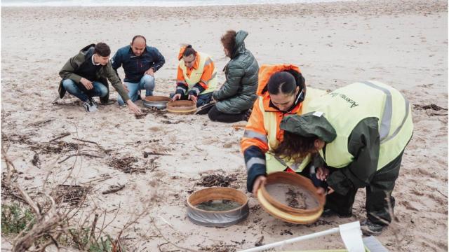 Trabajos de limpieza en las playas del municipio