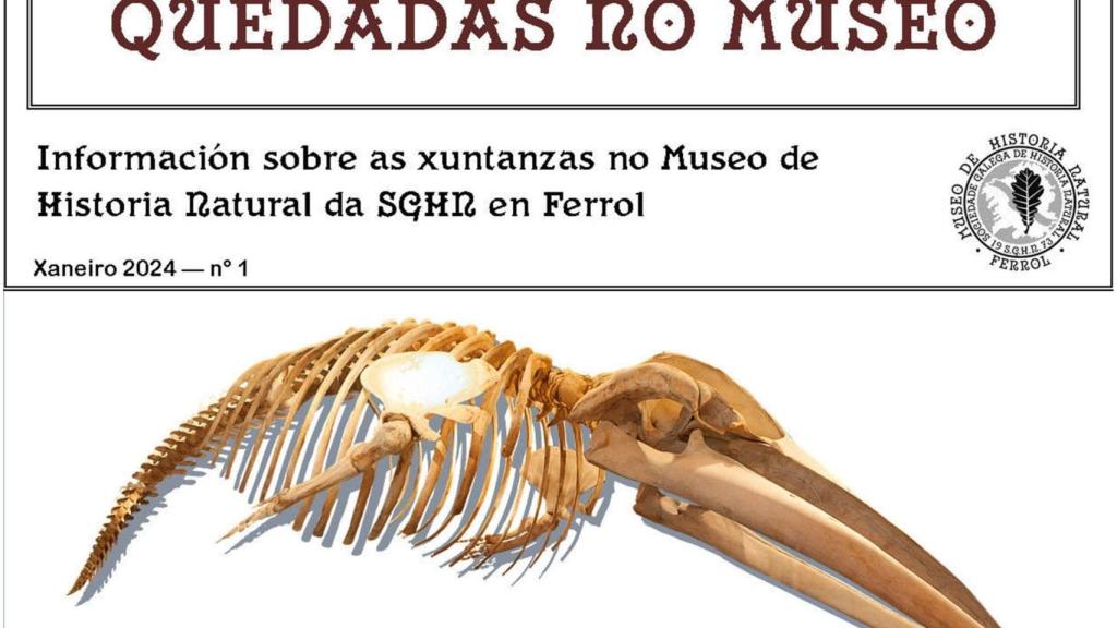 La SGHN de Ferrol abre aún más el Museo de Historia Natural de Canido a adultos y niños