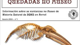 La SGHN de Ferrol abre aún más el Museo de Historia Natural de Canido a adultos y niños