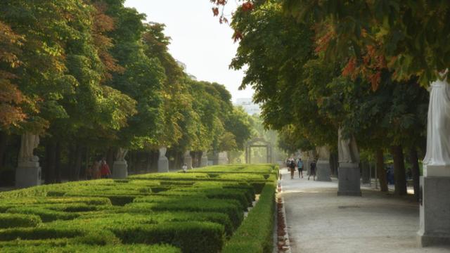 La AEMET obligada a activar este miércoles la alerta amarilla por rachas de viento en Madrid: estas son las zonas más afectadas.