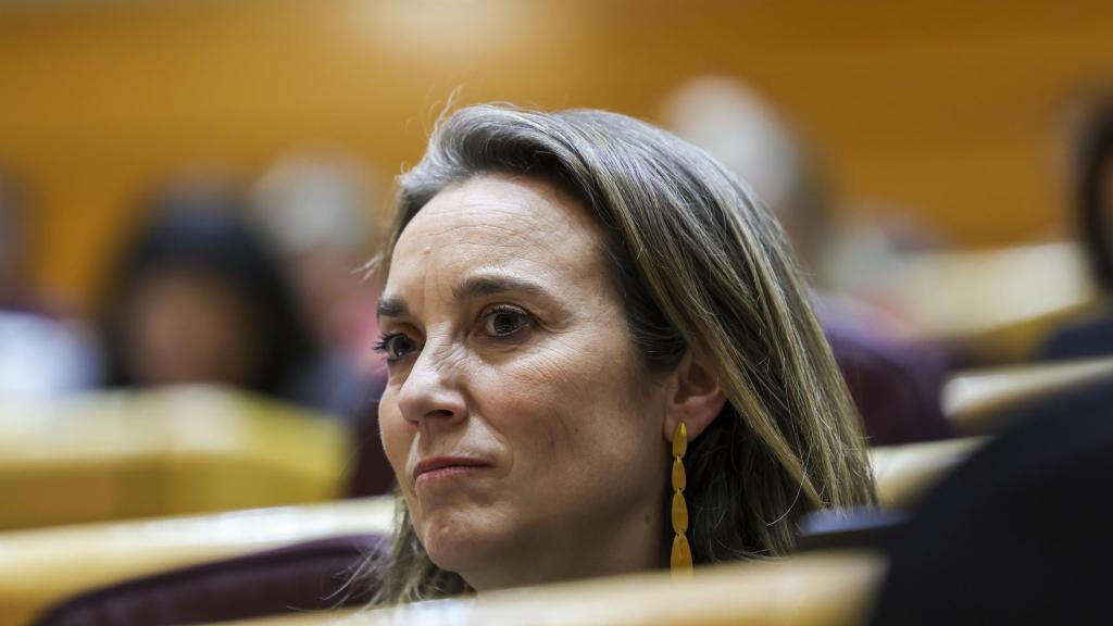 La secretaria general del PP, Cuca Gamarra, este martes en el Senado.