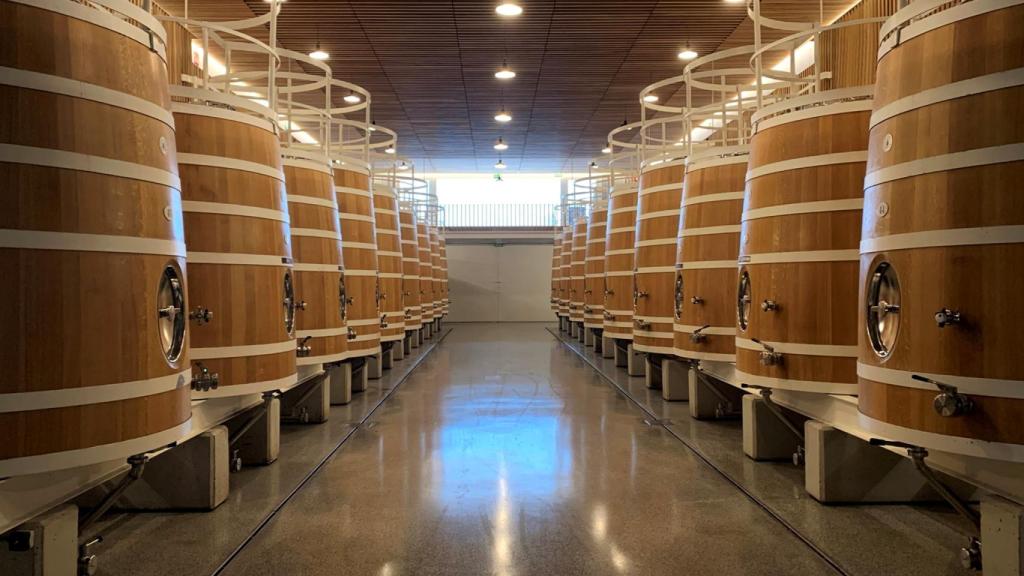 Así es Corimbo I, la estrella llíquida de esta bodega en Ribera del Duero