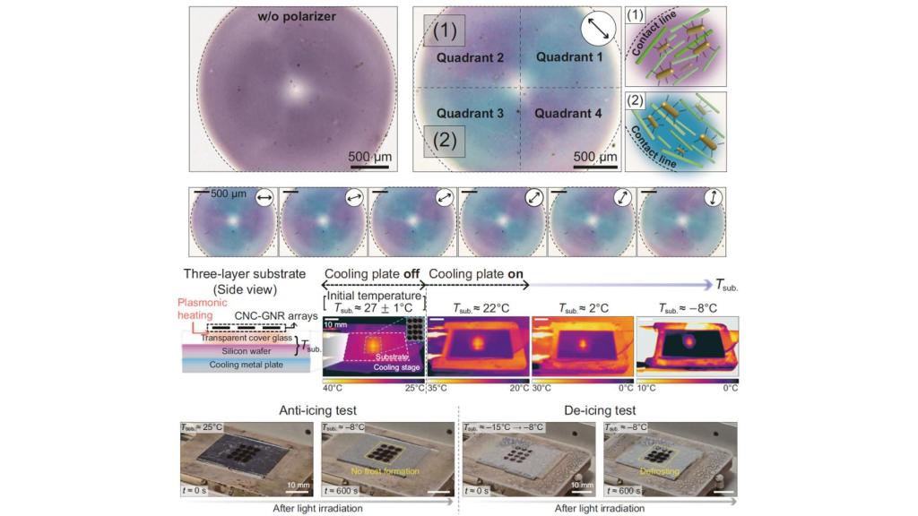 Resultados de las pruebas de la película de nanovarillas de oro