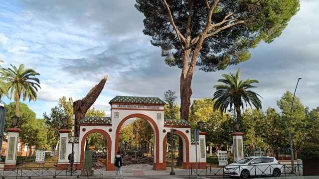 Talavera de la Reina proyecta una nueva remodelación de los Jardines del Prado tras finalizar las obras actuales