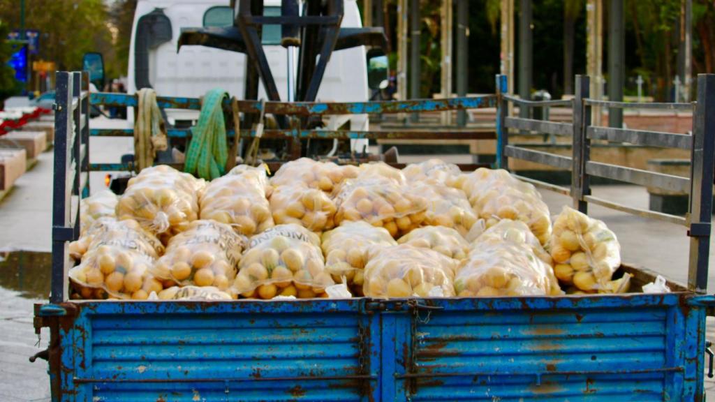 Los agricultores regalan limones en Málaga.