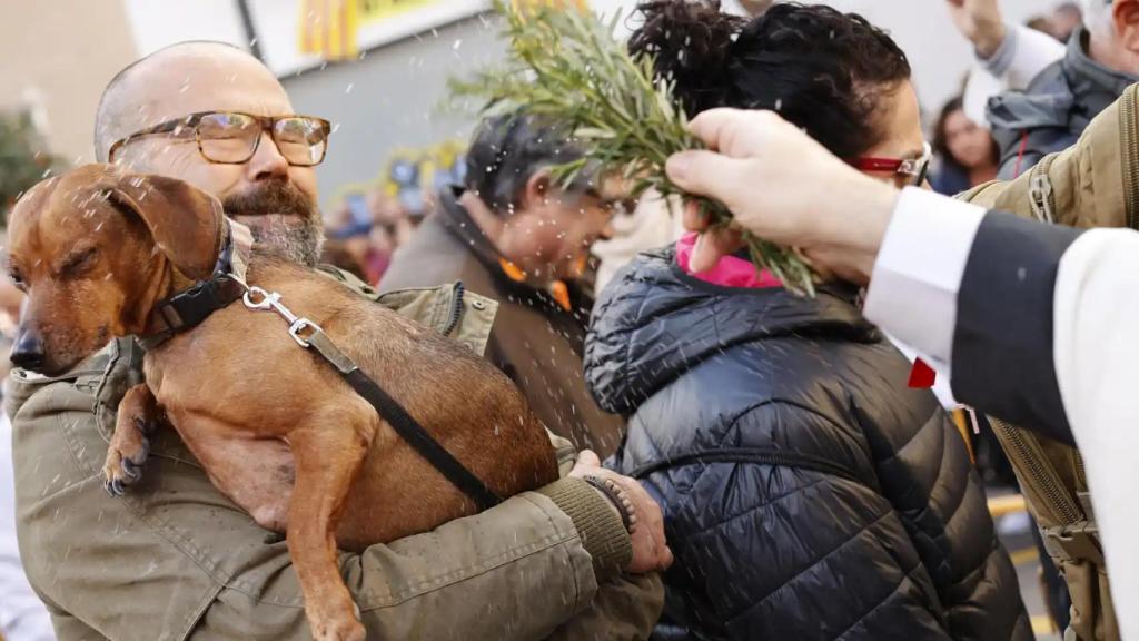 Bendición de animales en la parroquia de San Antonio Abad. EFE