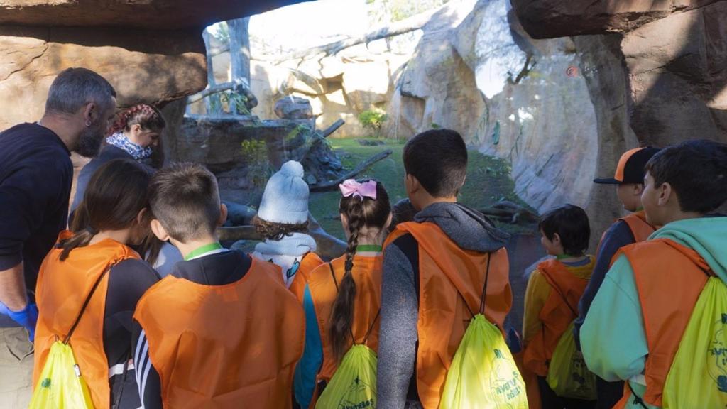 Un grupo de jóvenes en Bioparc Fuengirola en uno de los campamentos.
