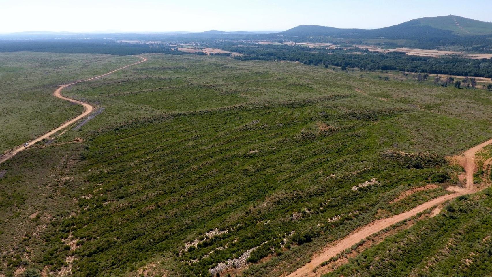 Investigadores de la ULE publican un estudio pionero con IA de las minas romanas de oro de León