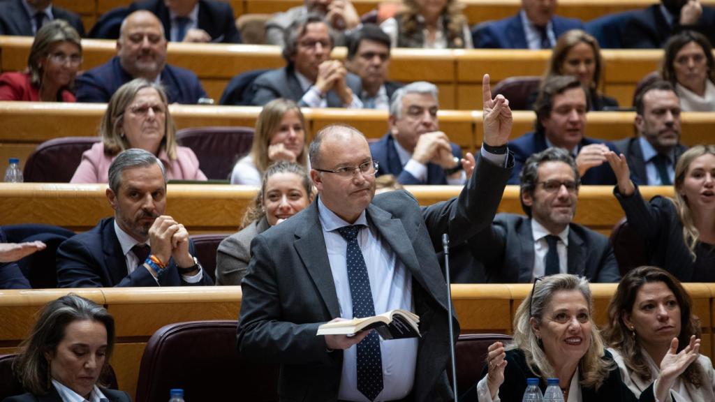 El portavoz del PP, Miguel Tellado, en el Senado, la semana pasada.