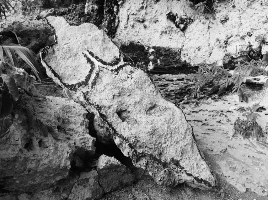 Ana Mendieta: 'Bacayu (Esculturas Rupestres)'', 1981. © The Estate of Ana Mendieta Collection, LLC. Cortesía The Estate of Ana Mendieta Collection, LLC y Galerie Lelong & Co., New York / VEGAP, Madrid, 2024