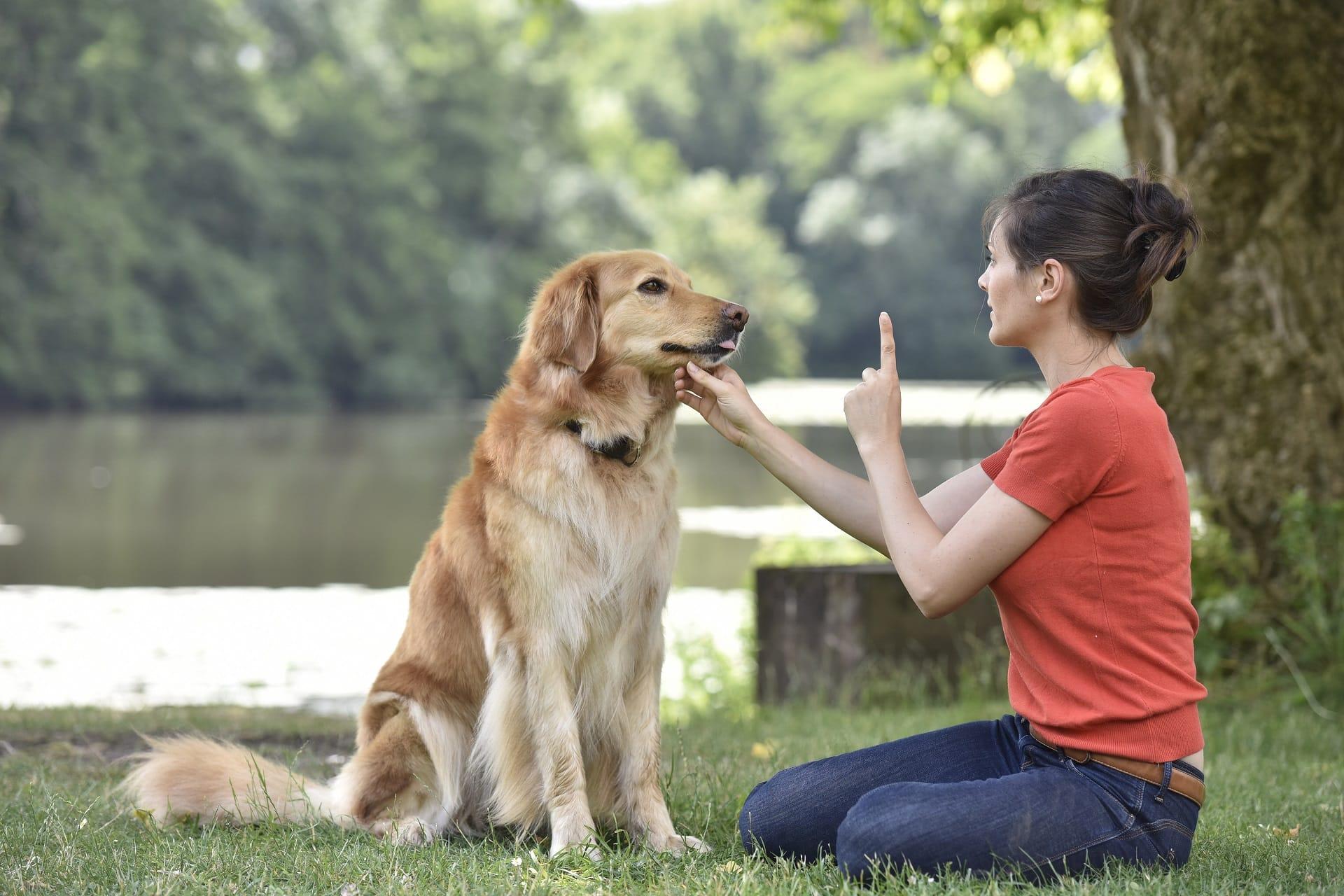 Una mujer enseña a su perro (Shutterstuck).