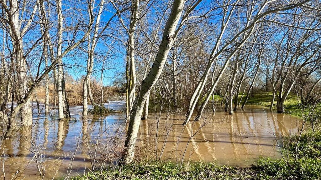 Imagen del parque de los Sifones de Talavera inundado este sábado.