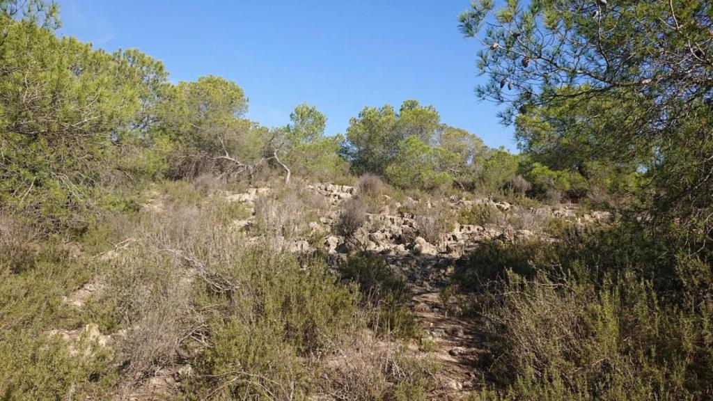 El lecho seco del río.