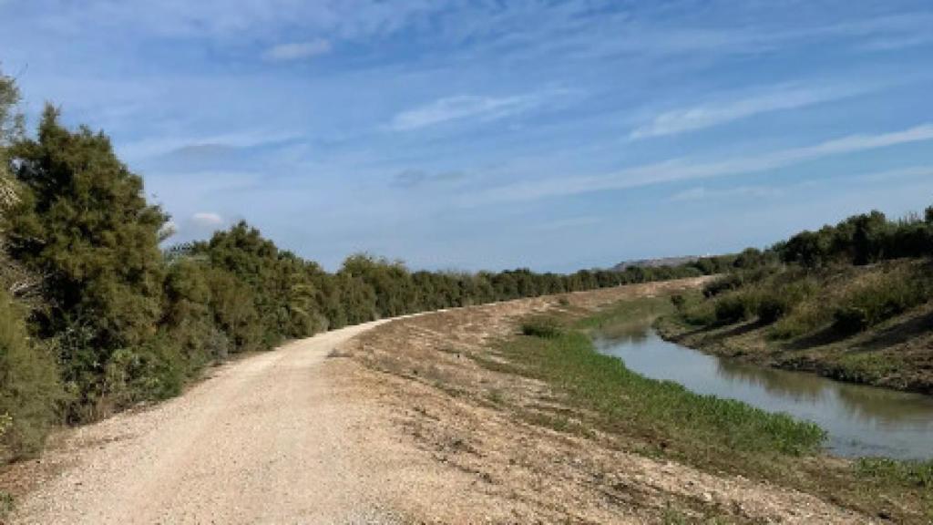 El río Segura en Algorfa.