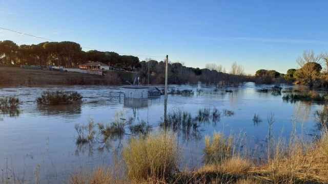 Imagen de una de las crecidas en uno de los ríos de Castilla y León