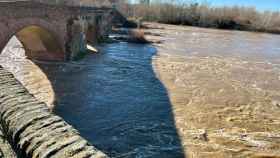 Aspecto del río Tajo a su paso por el puente romano de Talavera de la Reina