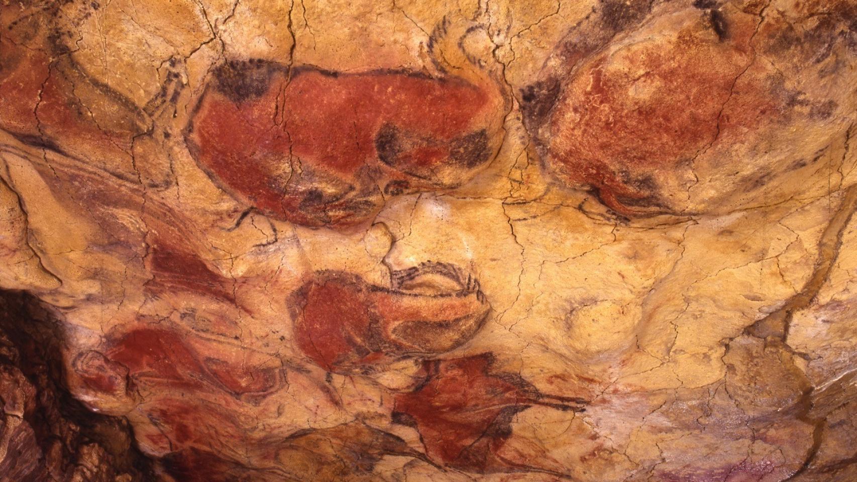 Los famosos bisontes de la cueva de Altamira.