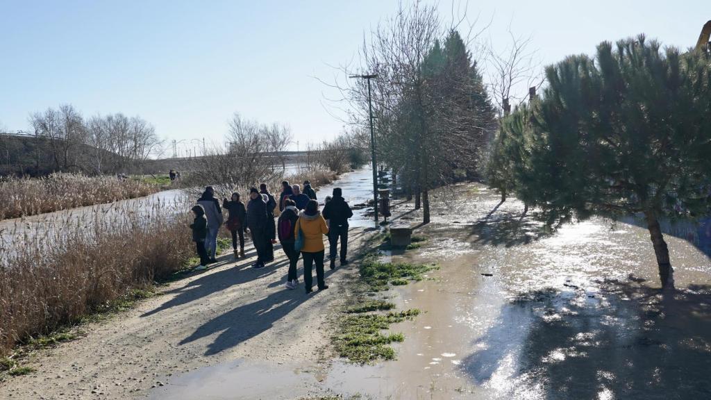 Crecida del río Zapardiel a su paso por Medina del Campo (Valladolid)
