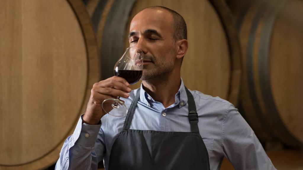 Winemaker de degustación de vinos