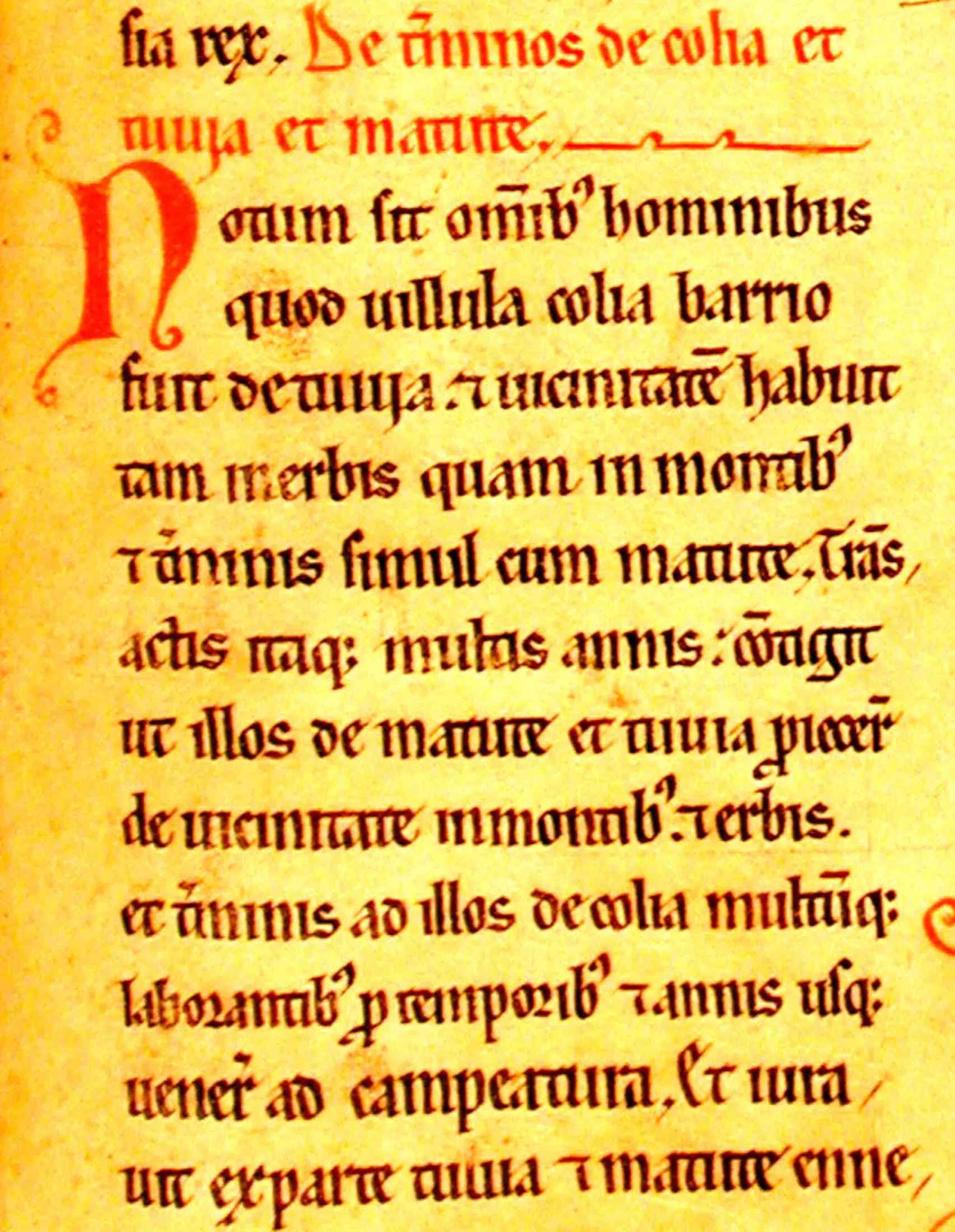 Fragmento del texto de la Campeatura riojana del Becerro Galicano