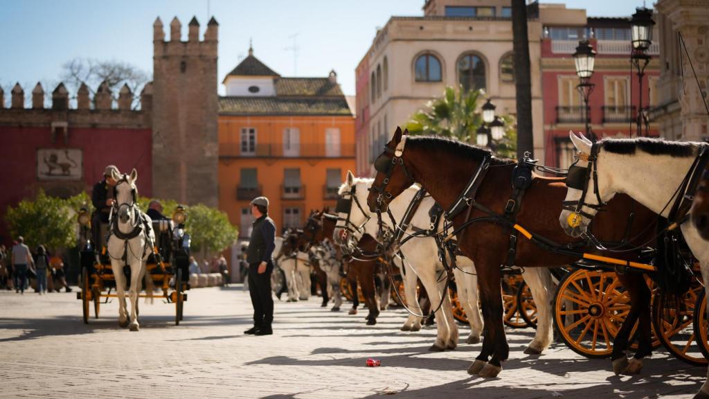 Turistas en el Centro de Sevilla