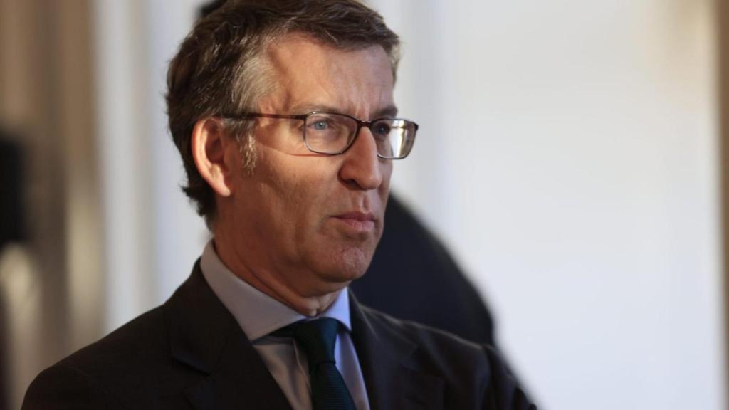 El presidente del PP, Alberto Núñez Feijóo.