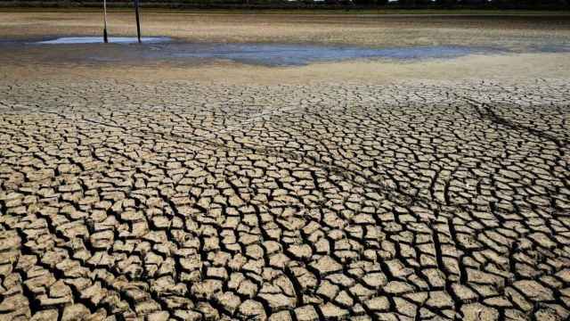 Santa Olalla (Doñana) seca a causa de la sequía.