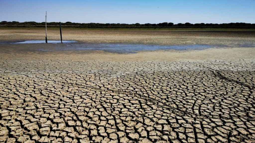 Santa Olalla (Doñana) seca a causa de la sequía y la sobreexplotación del acuífero.