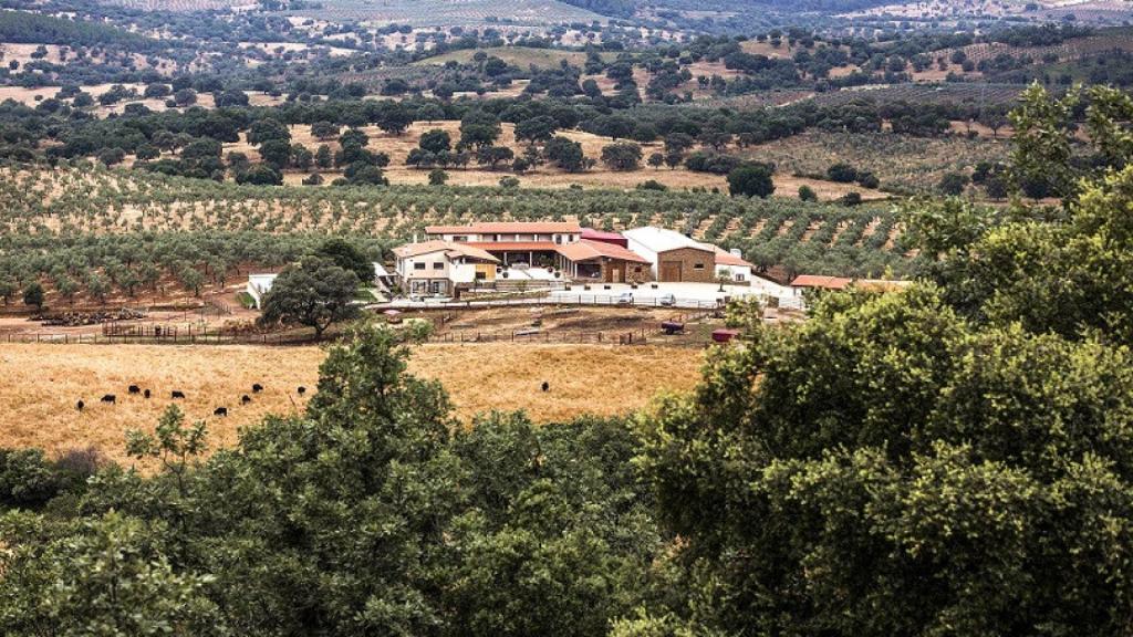 La dehesa extremeña y Hábitat Cigüeña Negra