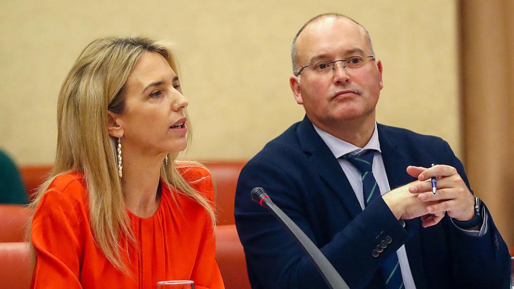 Cayetana Álvarez de Toledo junto al portavoz del PP, Miguel Tellado, este miércoles durante el Pleno de la Diputación Permanente del Congreso.