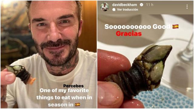 Beckham confiesa su pasión por los percebes: Una de mis comidas favoritas