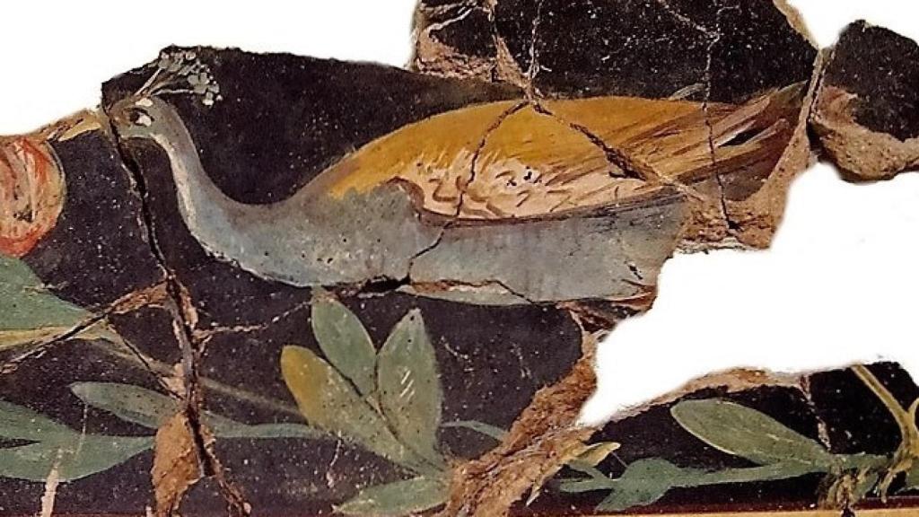 Friso de un pavo real en una de las pinturas murales de Bílbilis