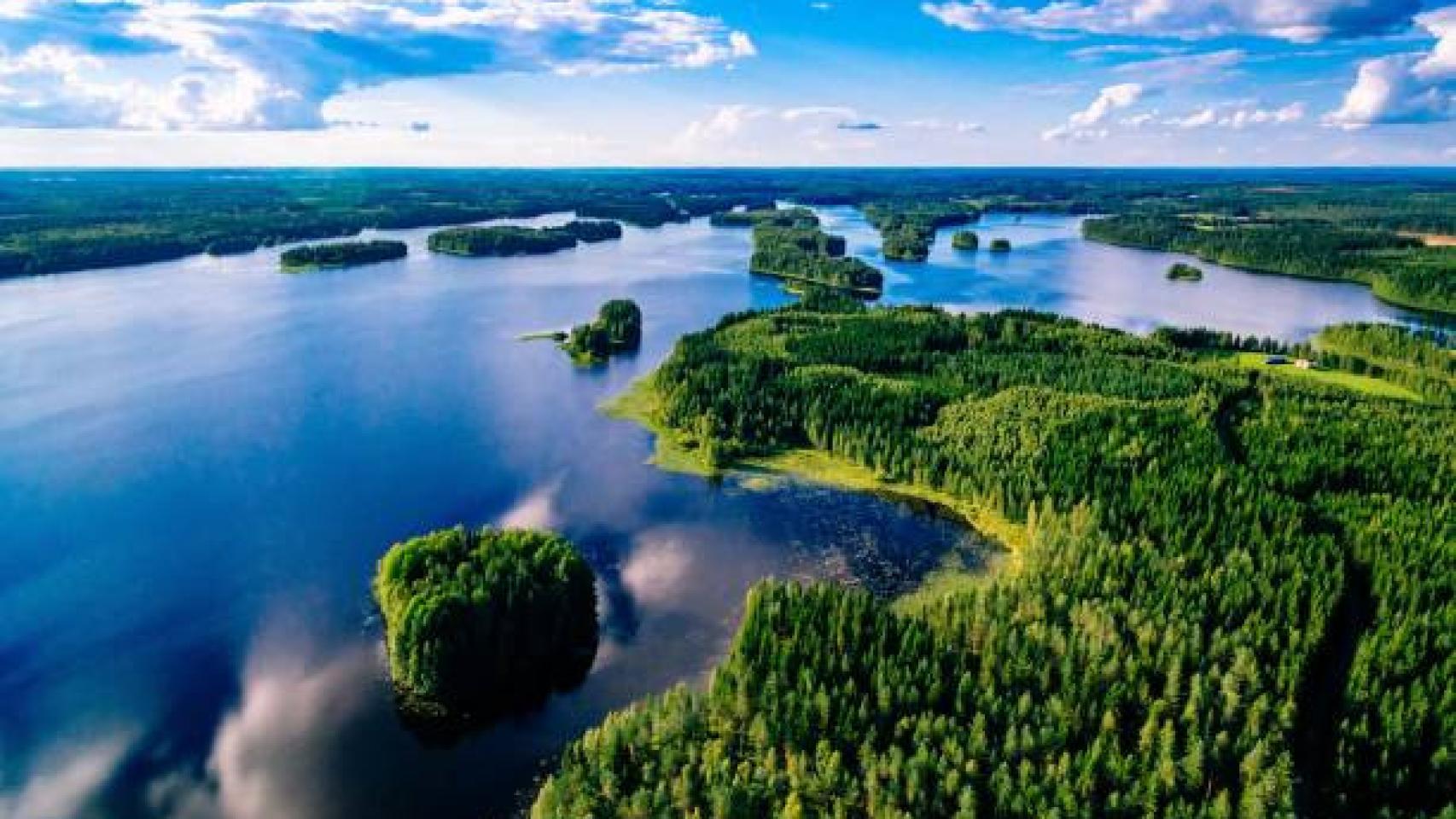 Un bosque de Finlandia junto a sus lagos