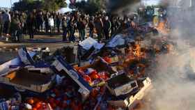 Los agricultores franceses queman frutas españolas en la autopista A9, a la altura en Nimes.