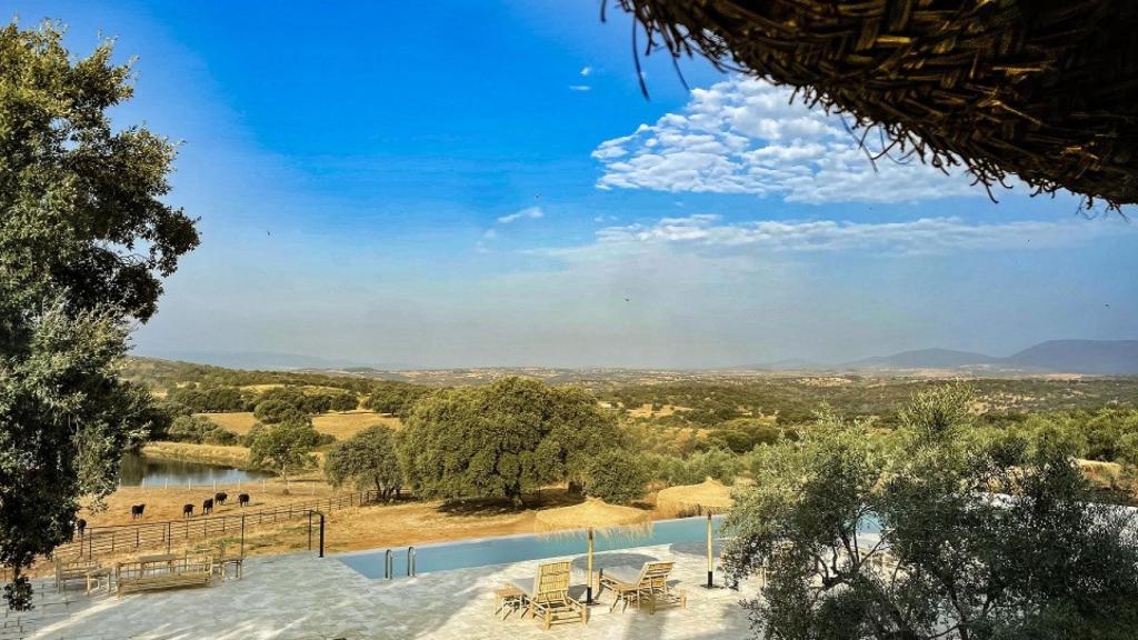 Hábitat Cigüeña Negra y la dehesa