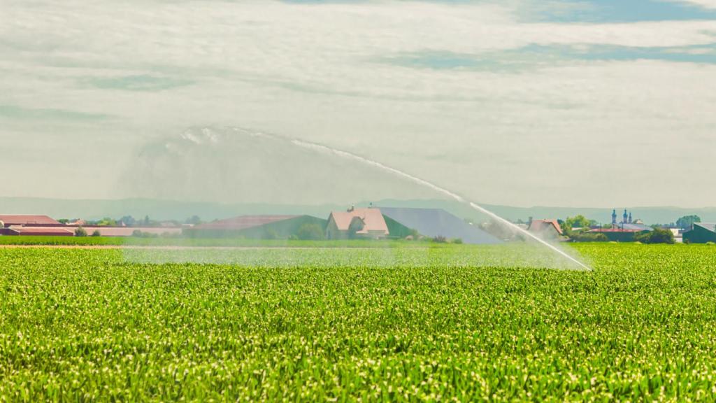 Imagen de archivo del riego en un campo fértil.
