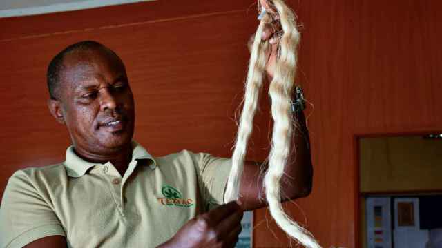 Kimani Muturi muestra extensiones de pelo hechas con fibras de las vainas de troncos de plátano, 3 de abril de 2021.