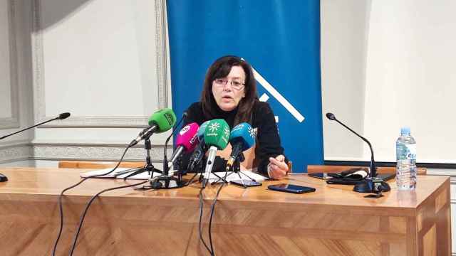 La decana del Colegio de Arquitectos de Málaga, Susana Gómez de Lara, este jueves, en rueda de prensa.
