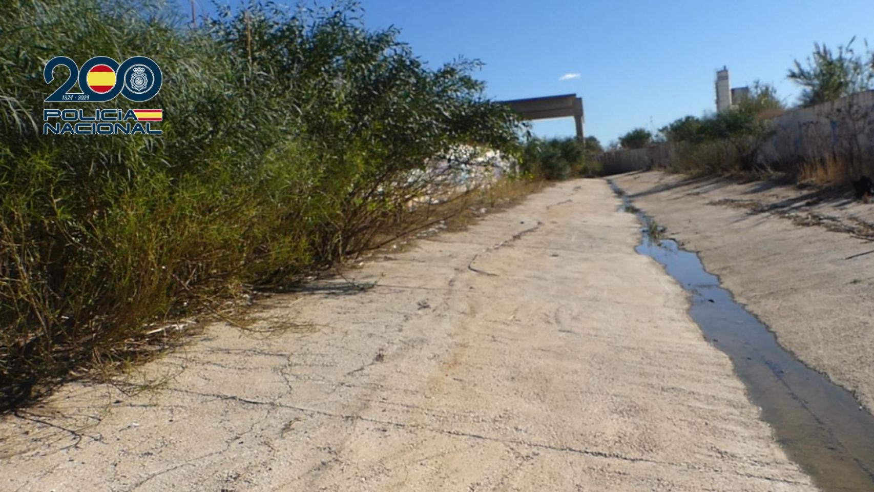 Imagen de la zona donde fue localizado el cadáver de la joven ucraniana.