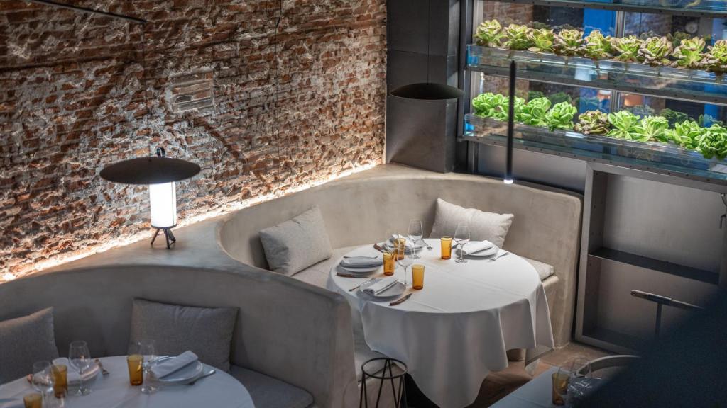 La gran sala entorno al gran mueble con algo más de 5 metros lineales en varias alturas de lechugas verdes.