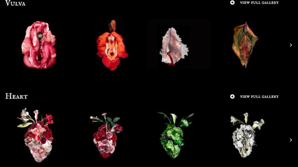 Las vulvas y corazones creados por Catharina Suleiman.