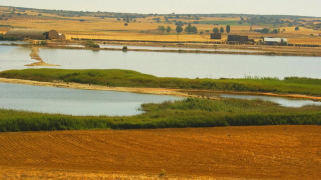 Humedal en Castilla-La Mancha. Foto: JCCM.