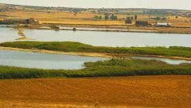 Humedal en Castilla-La Mancha. Foto: JCCM.