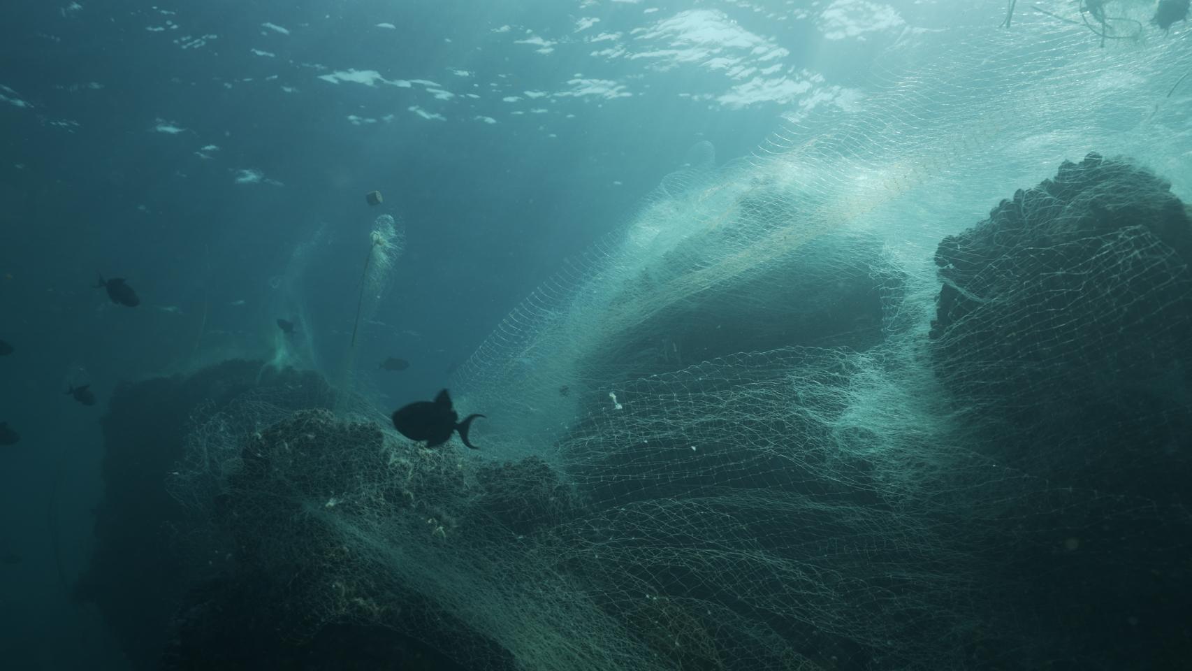 El mar Mediterráneo afronta un daño medioambiental irreversible y los libros llevan años advirtiéndonos de ello