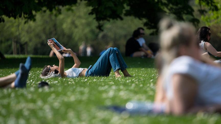 Una mujer leyendo en un parque.