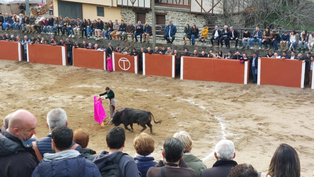 Un momento del espectáculo taurino en Valero