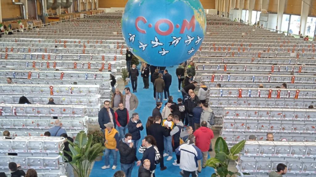 Campeonato Mundial de Ornitología.